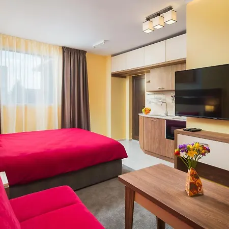 арт студио Sofya