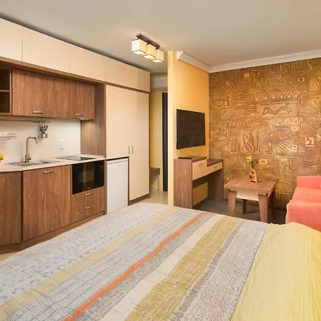 Apartment арт студио *